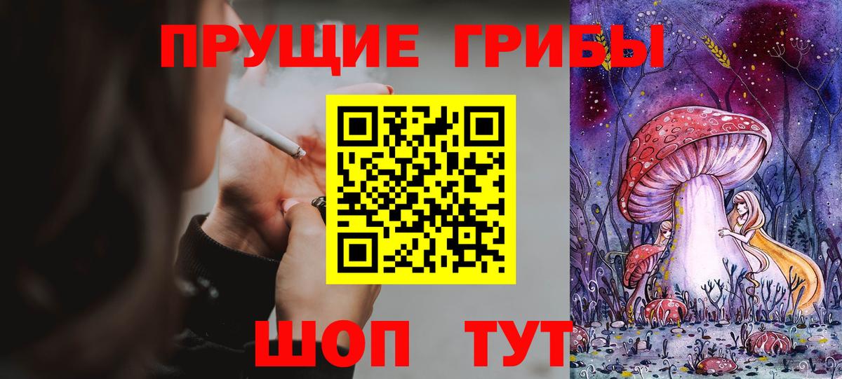 Кулебаки  Галлюциногенные грибы MAGIC MUSHROOMS  Вход с VPN 